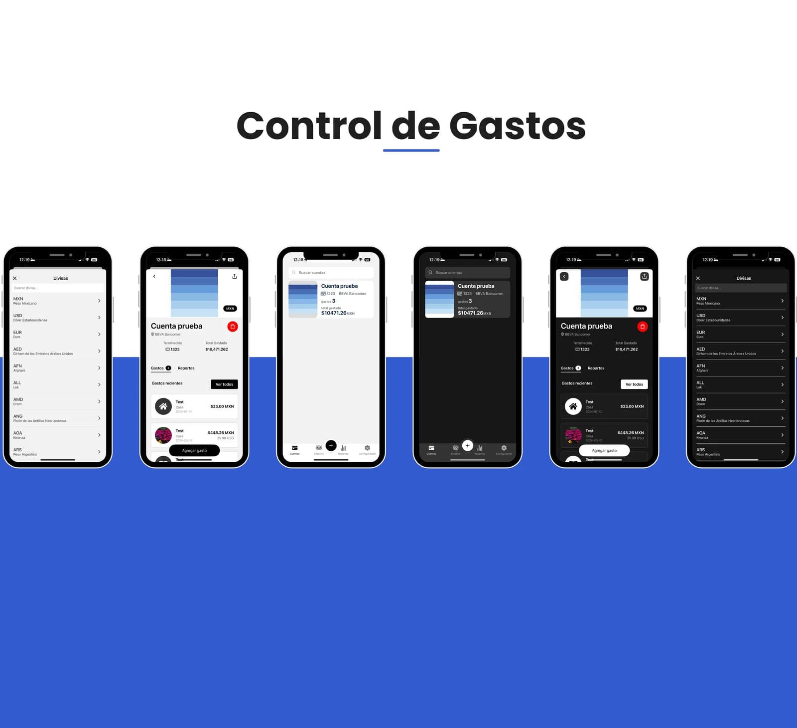 APP Control de Gastos